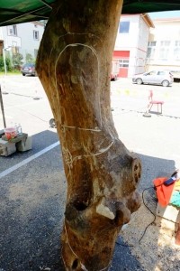 Poświęcenie kapliczki z Chrystusem Frasobliwym