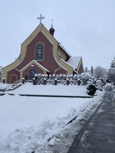 Pierwszy śnieg na Białobrzegach
